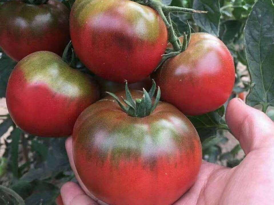 来浦口，品尝全南京最好吃的......