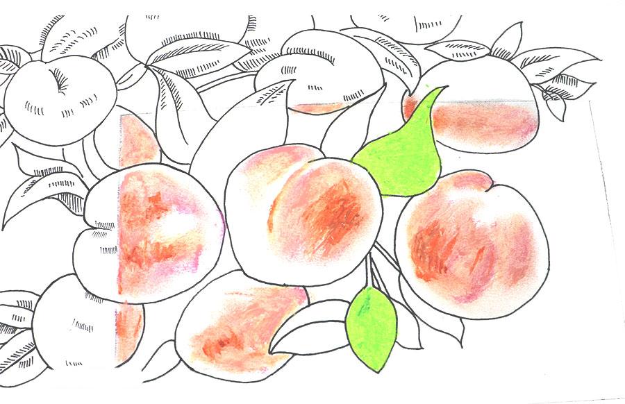 桃子精解说,桃子精万岁