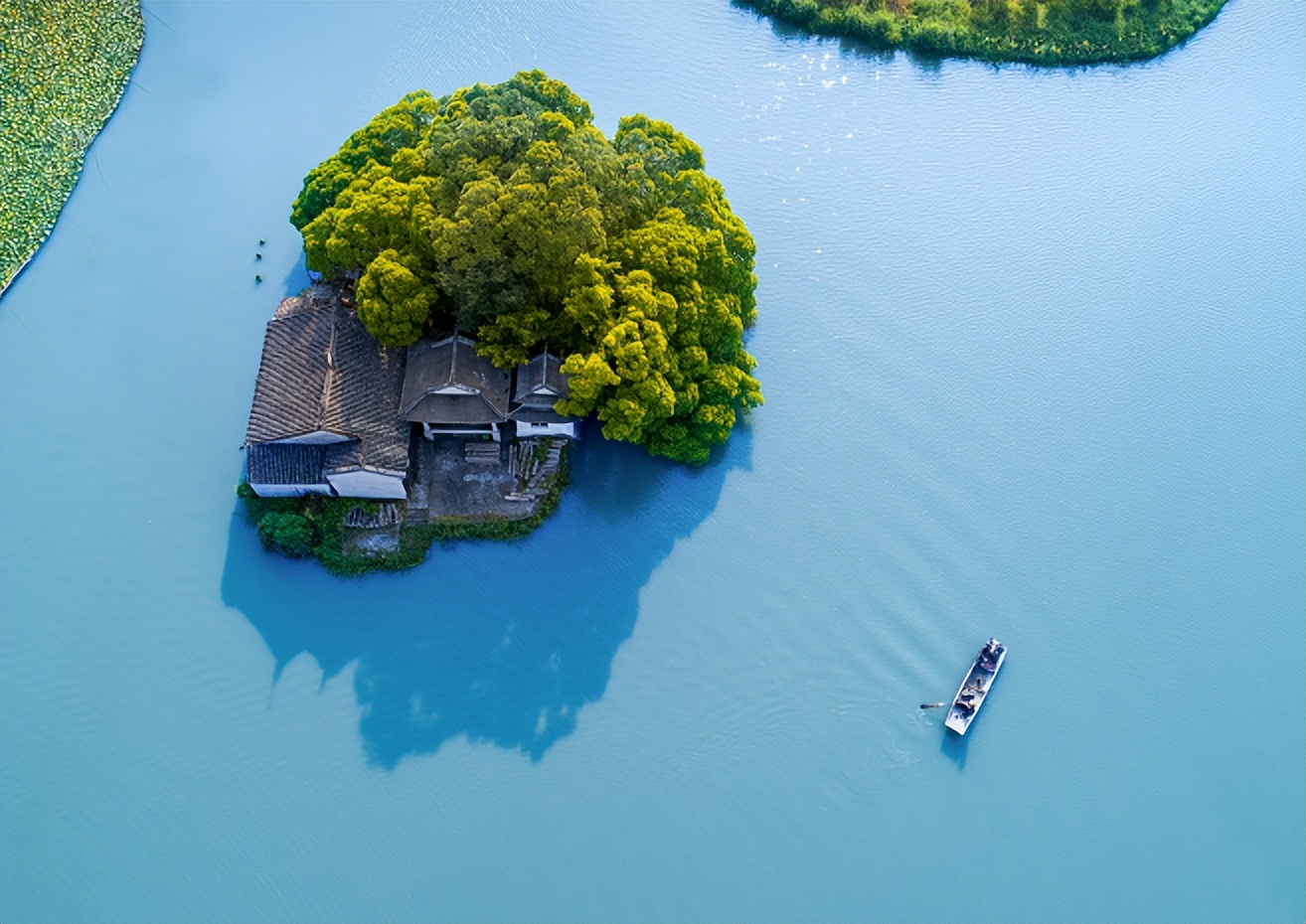 带你们体验摘杨梅的乐趣,酸酸甜甜的杨梅有谁陪我一起采摘