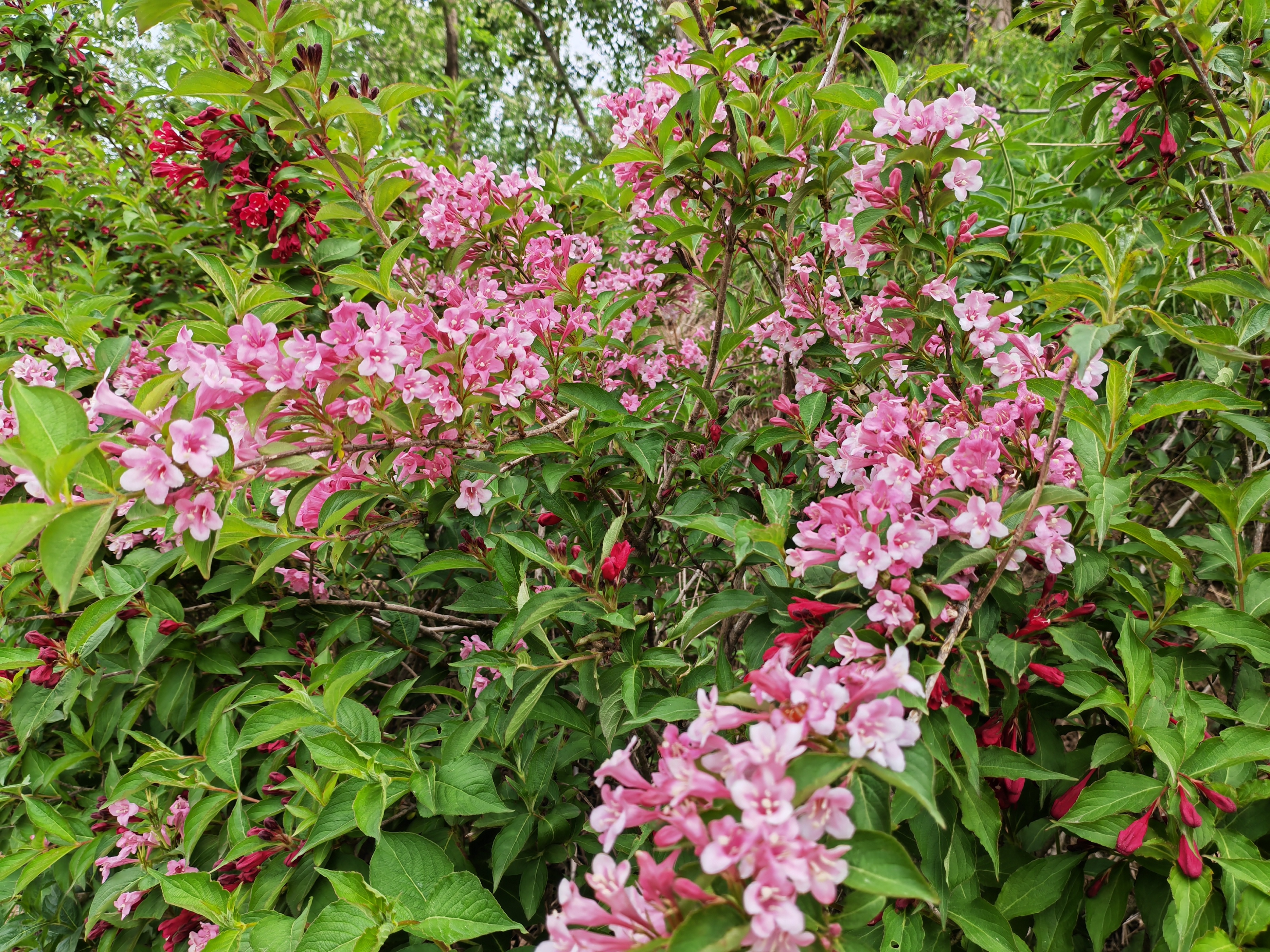 求写人生很辛苦的的现代七言绝句,打工者励志的七言律诗