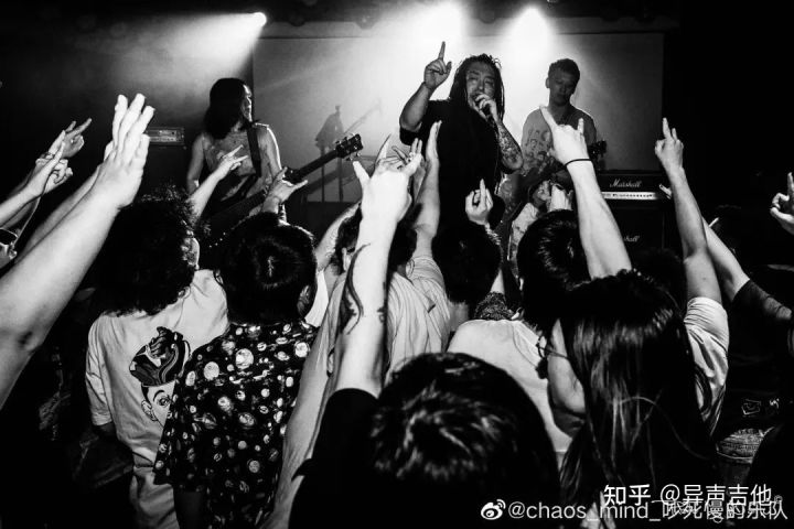 斑鸠的五种常见叫声,疫情下我学会了什么技能