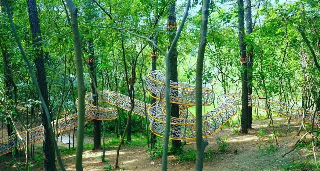 300亩主题农场,300亩农场年入千万