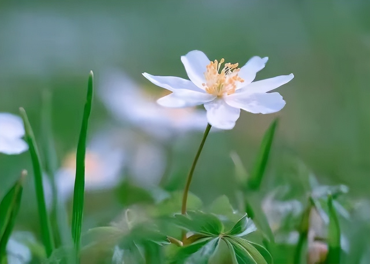 人退休了其实只剩下一件事要做,退休以后最好的活法就这几句话