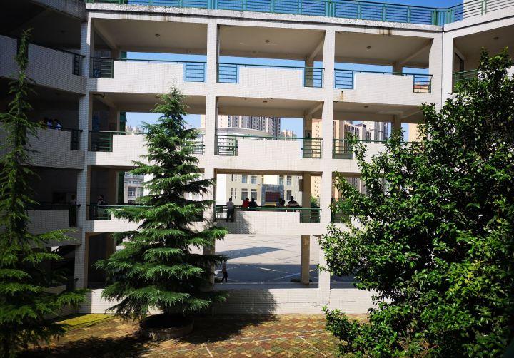 新洲区一中好吗,新洲一中情况如何