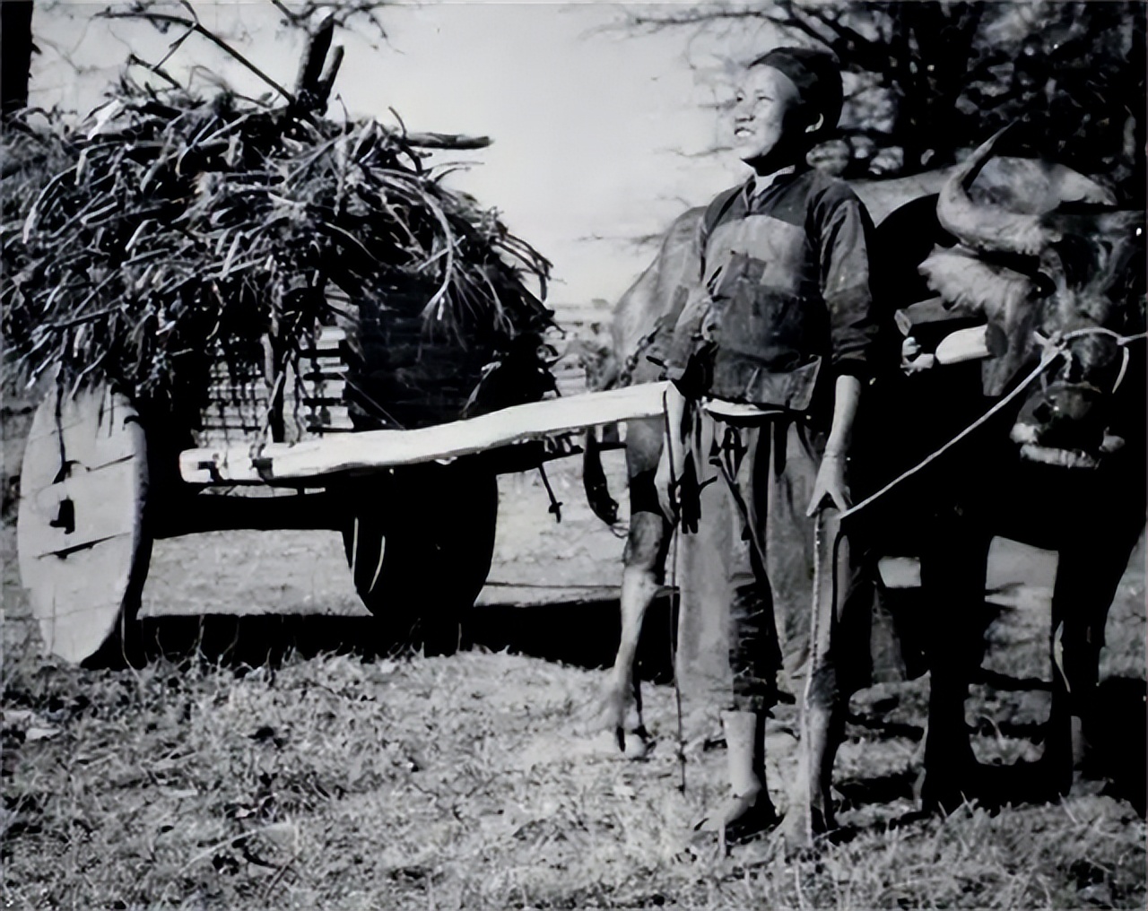 毛岸英为何一直葬在朝鲜？看了彭德怀一封信，才知主席用心良苦
