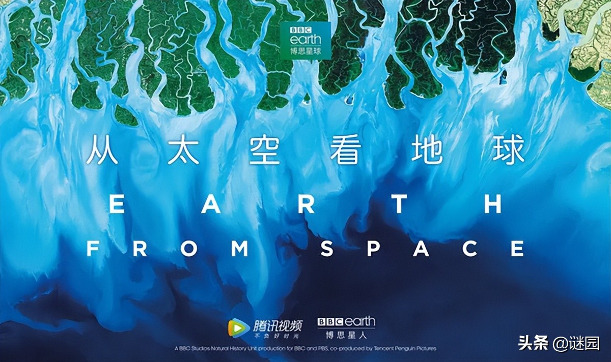 亲子互动纪录片大全,适合儿童看的自然界纪录片