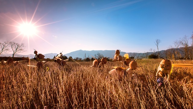 劳动并不能致富,劳动光荣劳动致富