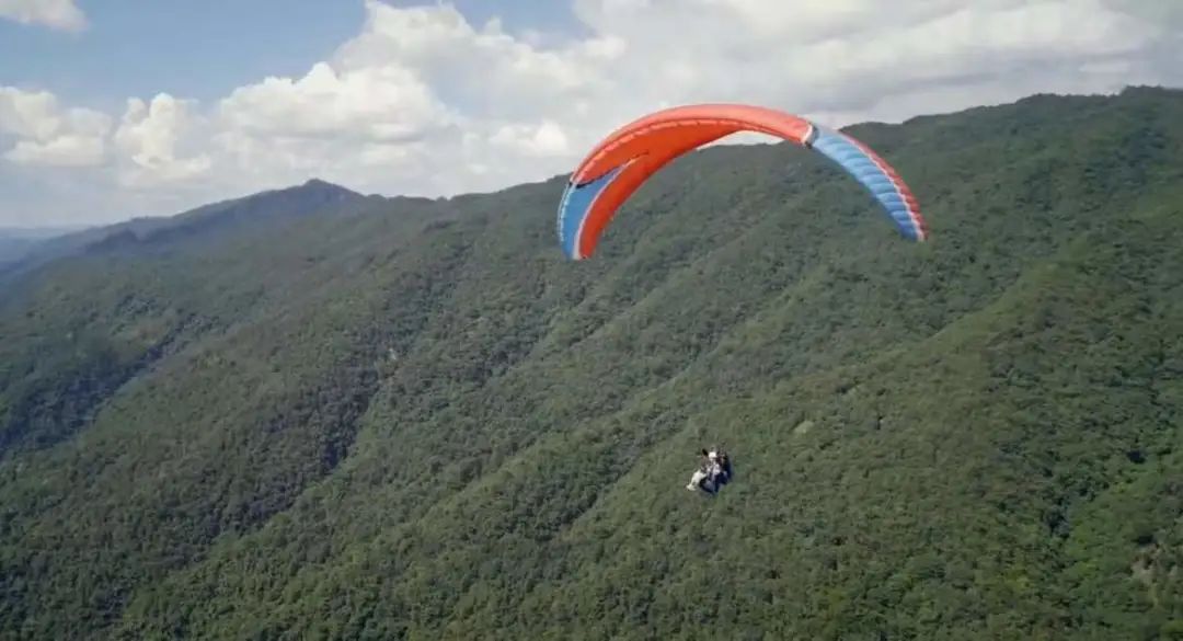 连续携手lululemon,这一次何姿和你一起“愉加”