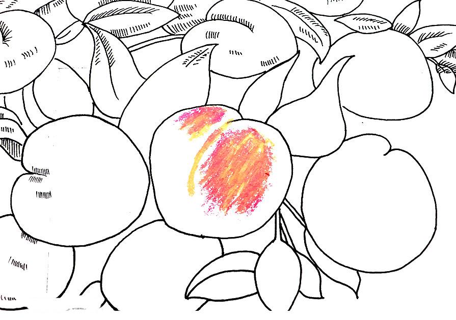 桃子精解说,桃子精万岁