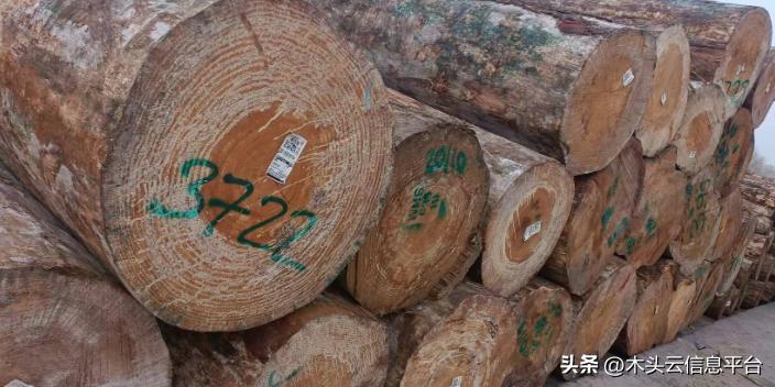 最近辐射松价格走势,我国辐射松价格