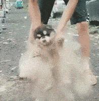 女子和同事打闹，用力过猛竟直接把*裤底**扯两半，羞得蹲地不敢起身