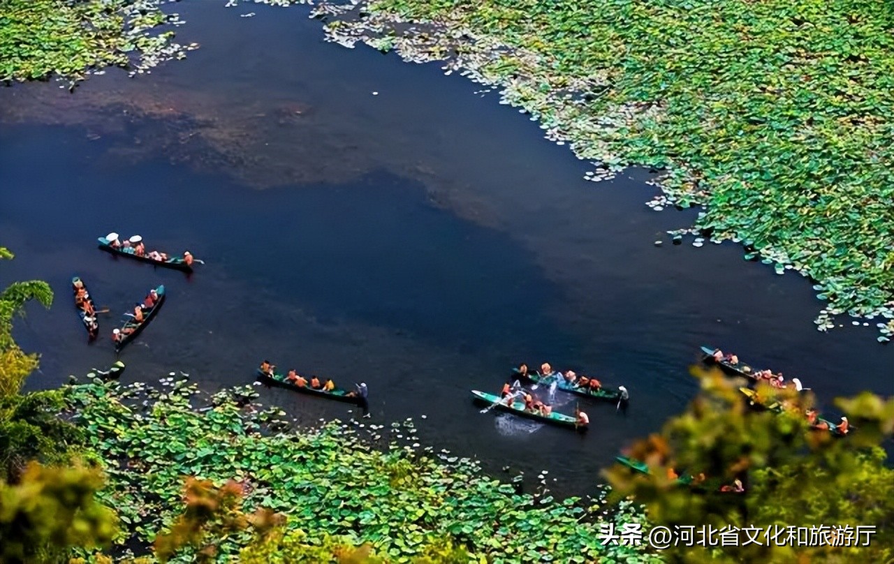 四川夏季旅行必打卡地,这几个最值得夏天去玩的旅行圣地