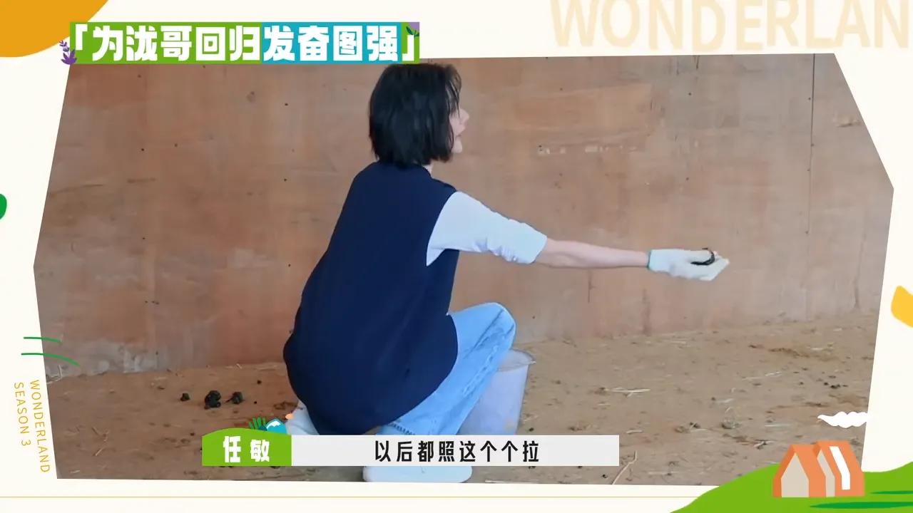 孟子义桃花坞捡羊粪是哪一期,敖瑞鹏桃花坞铲羊粪