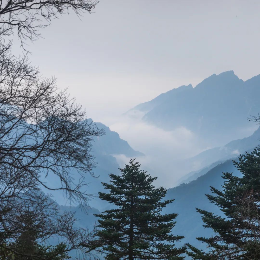 太白山是陕西最高点吗,秦岭最高峰太白山