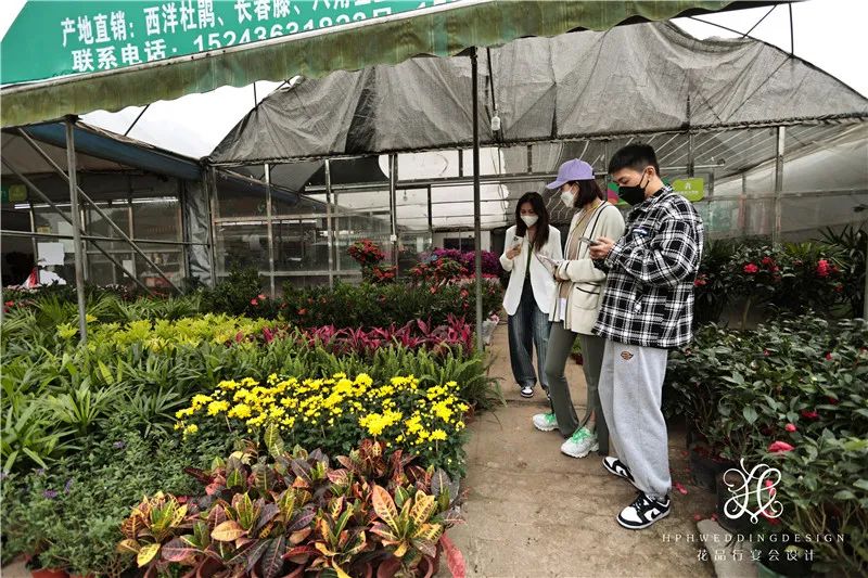 浪姐3宣传片决赛,浪姐3宣传片