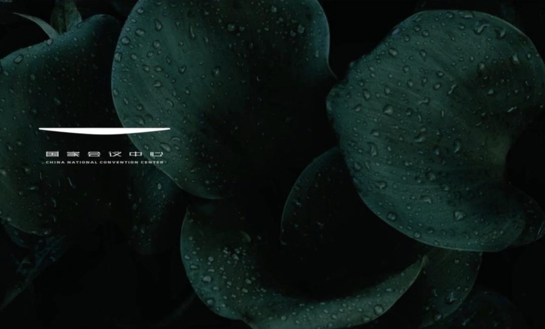 原研哉新书2021,原研哉出的新书