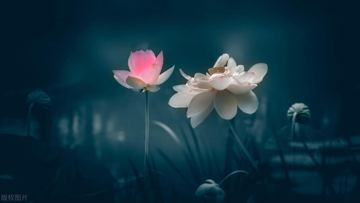 去香港澳门7日游,去香港和澳门怎么安排行程