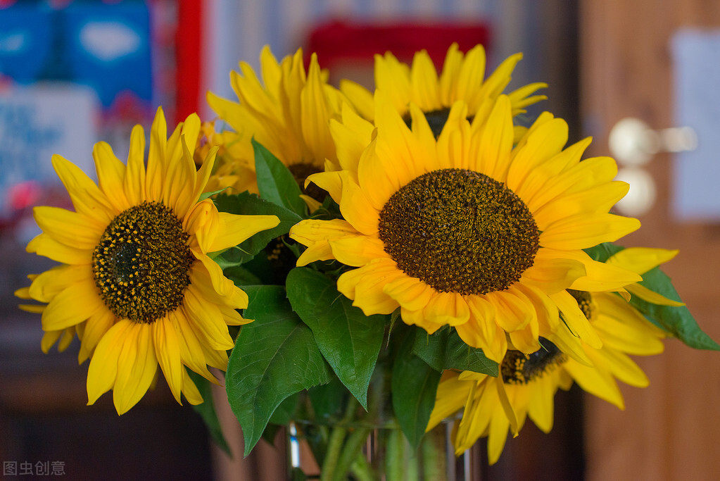 坦然面对生活中困境和逆境,面对困境乐观坦然的议论文