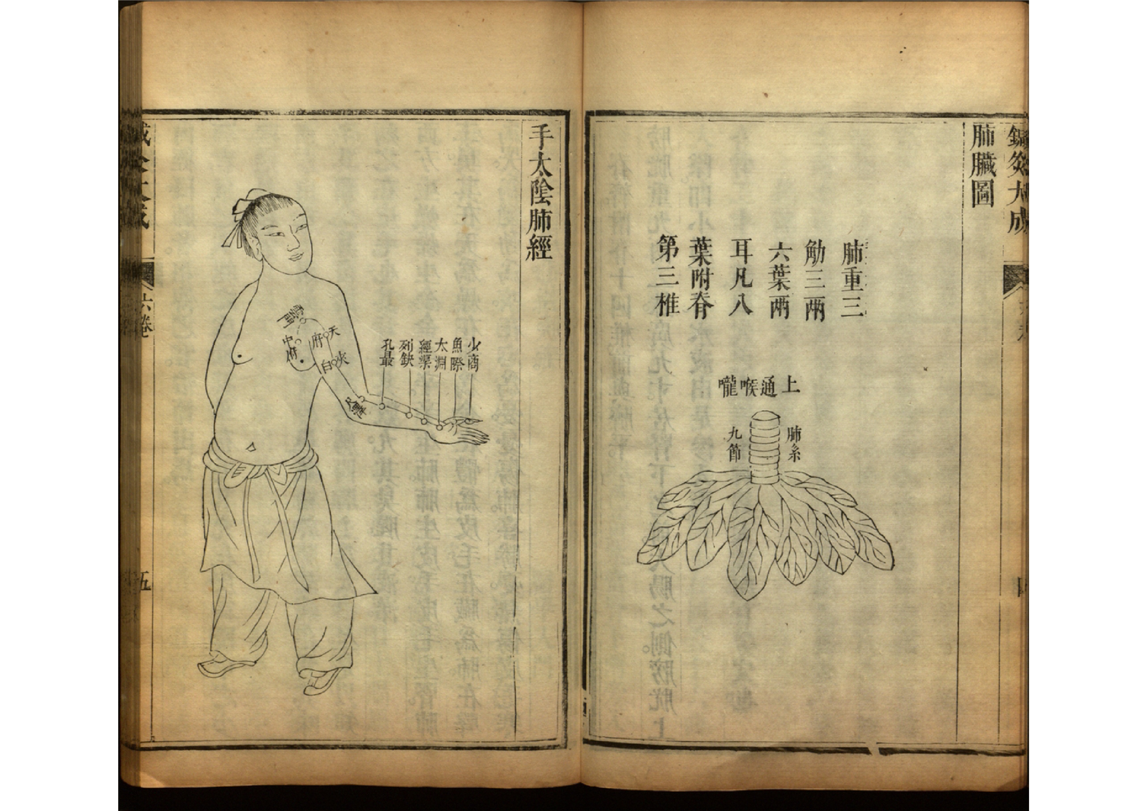 针灸大成古书图片,《针灸大成》古籍