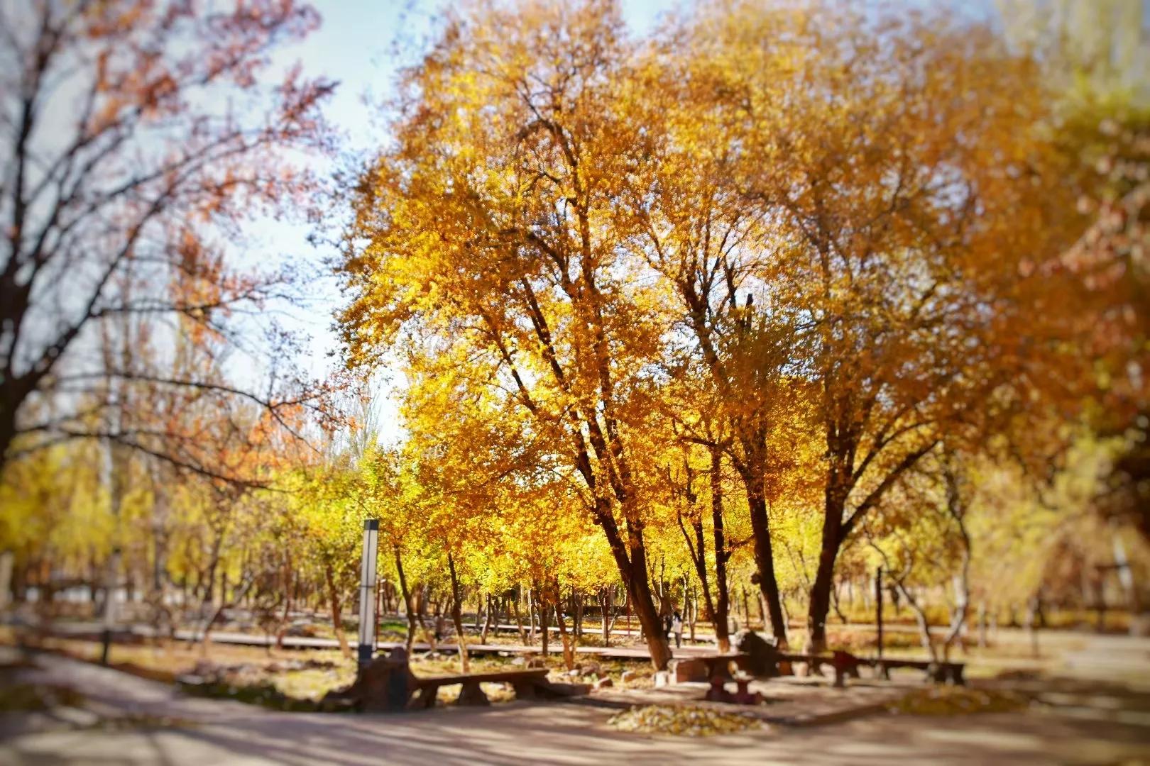 为什么有那么多散户买入高价股,低价股为什么股民追捧