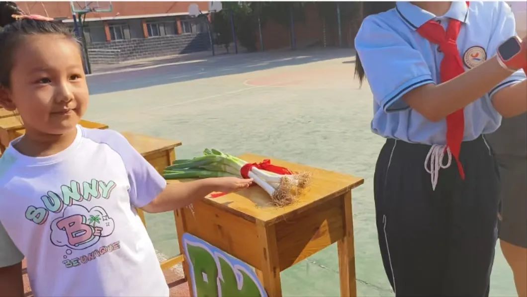 包头金龙王庙小学活动,以前包头金龙王庙小学