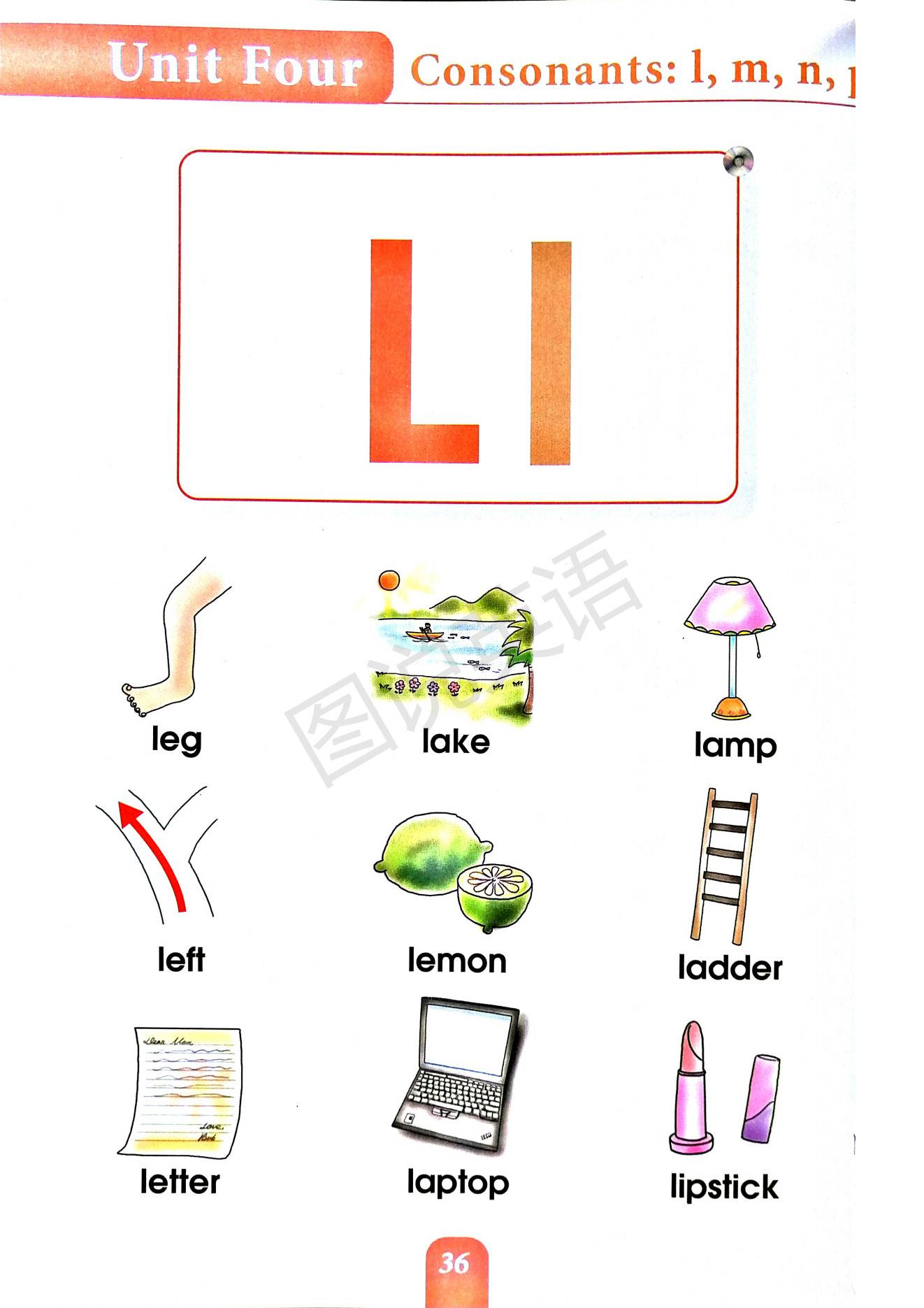 一口背,一口学会国际音标