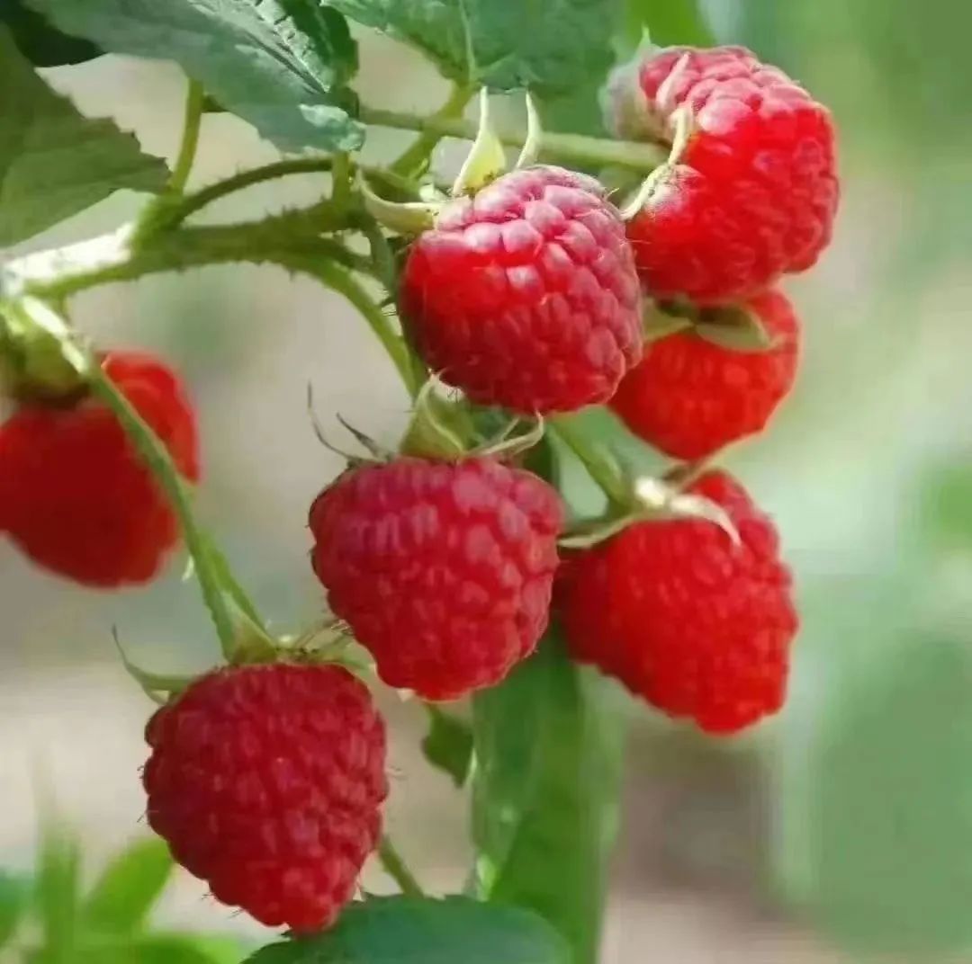 提到贵州你的第一印象是什么,提到甘肃的第一印象是什么