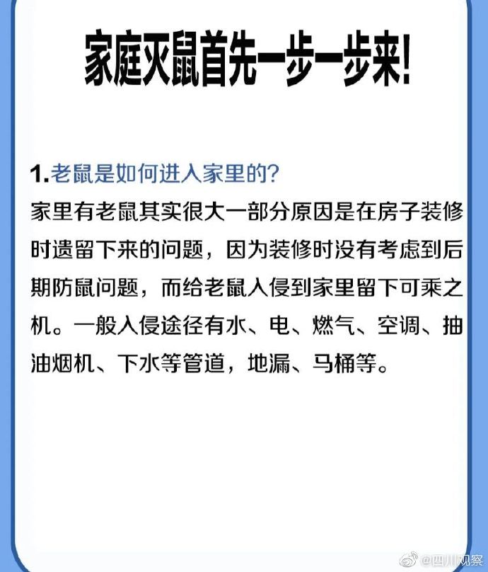 有什么办法能赶走家里的老鼠,家里打老鼠有什么好办法