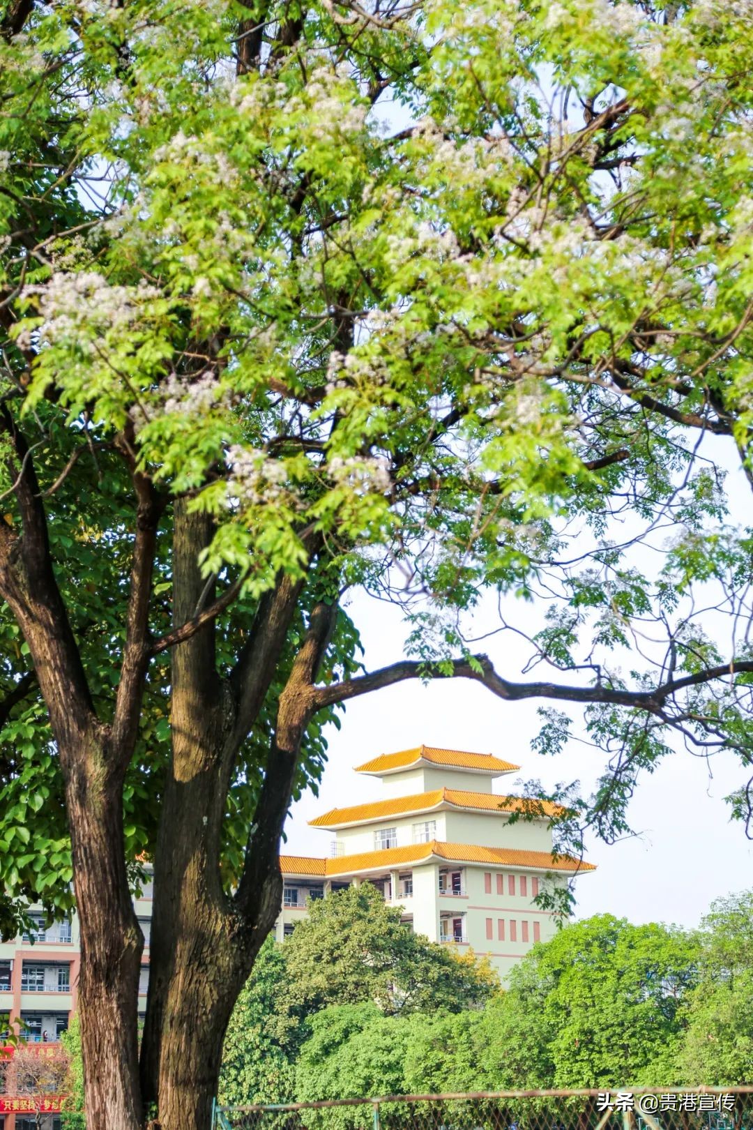 广西贵港的记忆,贵港回忆