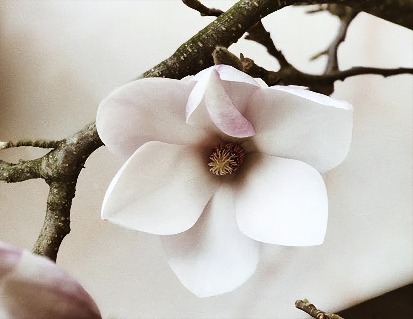 婚姻里什么才是女人的终极安全感,女人怎么样才能在婚姻里有安全感