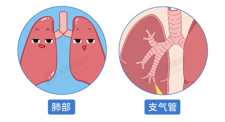 阿莫西林是好药但只对四种病有效,阿莫西林别滥用只针对这六种病