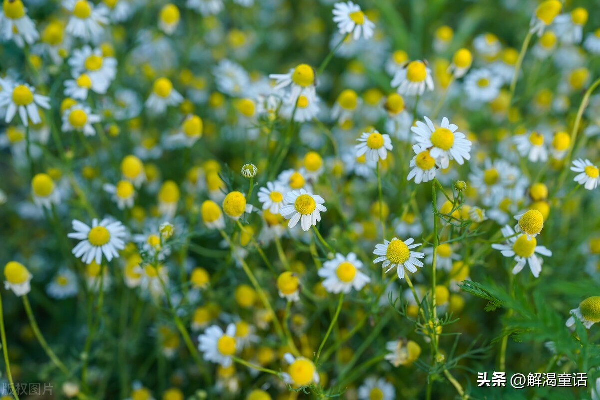鍎跨鎶曟鎶ユ潕,鎶曟鎶ユ潕鍙よ瘲鍏ㄦ枃