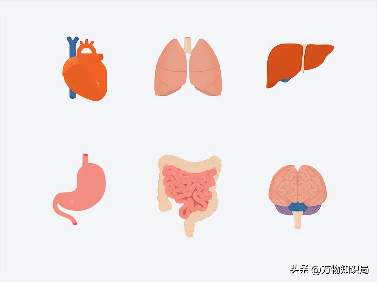 北方搓澡泥搓下来的真的是污垢吗,为什么搓澡会搓出泥来