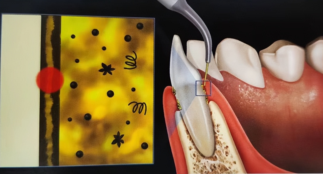 徐汇区牙防所最新规划,徐汇区牙防所新址在啥地方