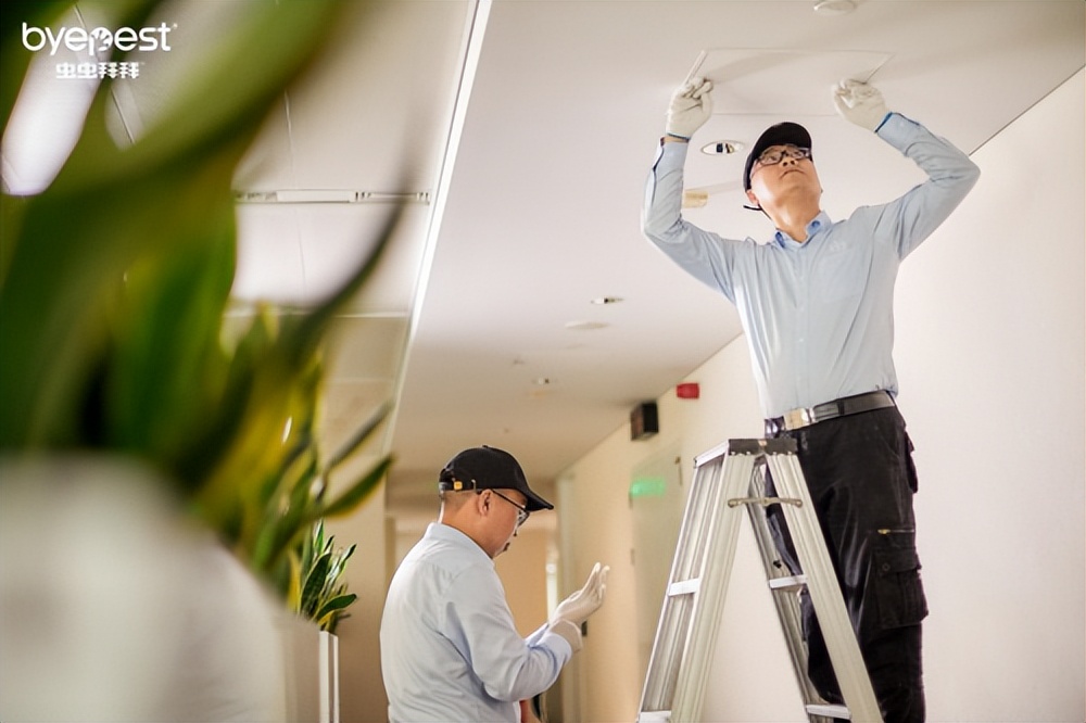 Byepest虫虫拜拜——守护家庭环境，告别虫害烦恼