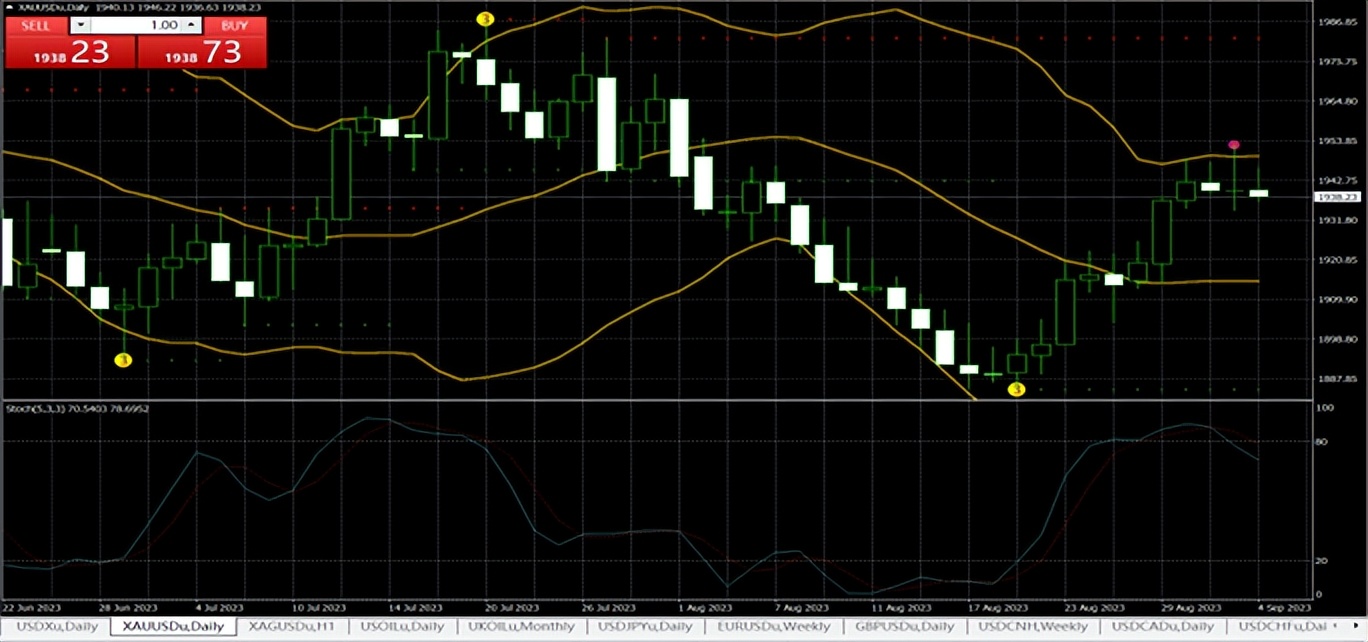 香港2024年1月1号金价,预计2023年黄金走势分析最新信息