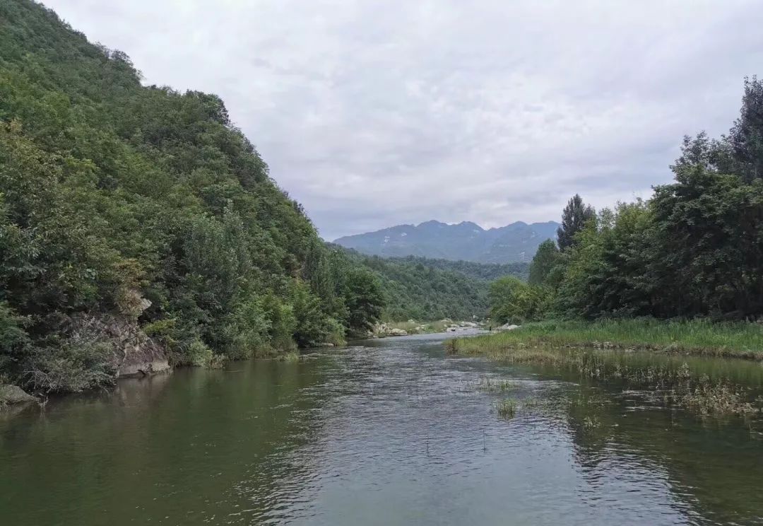 不会吧!不会吧!不会还有人不知道宝天曼吧?