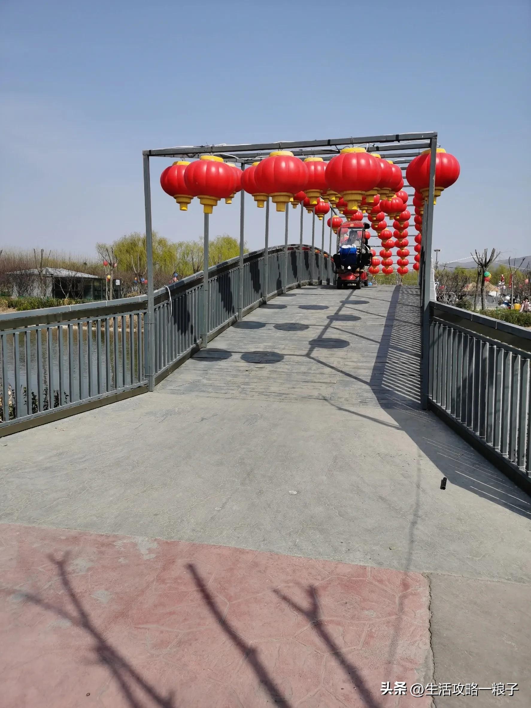 诸城动物园介绍多大面积,潍坊诸城动物园攻略