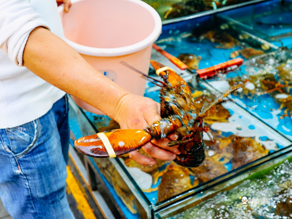 厦门海鲜小吃街推荐,厦门八市海鲜小吃街