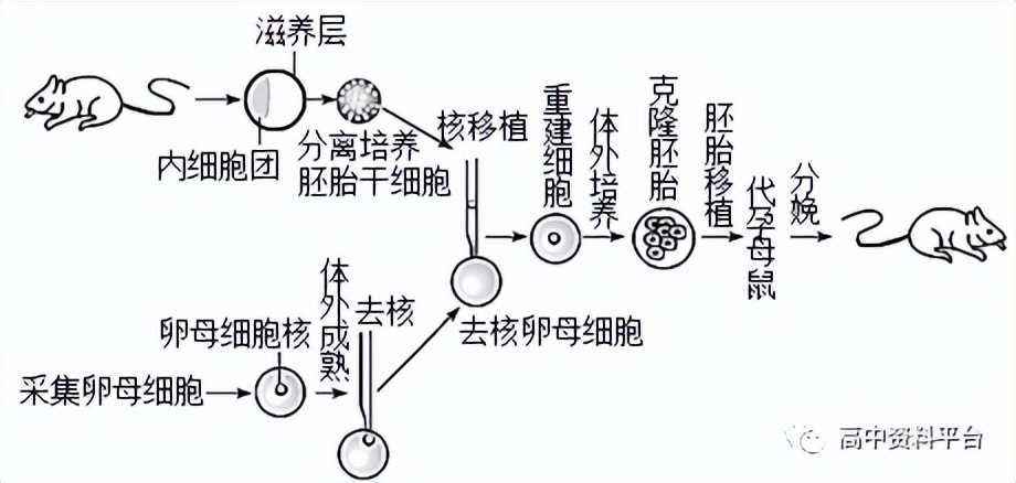 2024河南强基联盟3月联考高二,2024九省联考河南生物试卷及答案