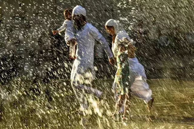 奥林巴斯摄影获奖照片,奥林巴斯摄影比赛视频