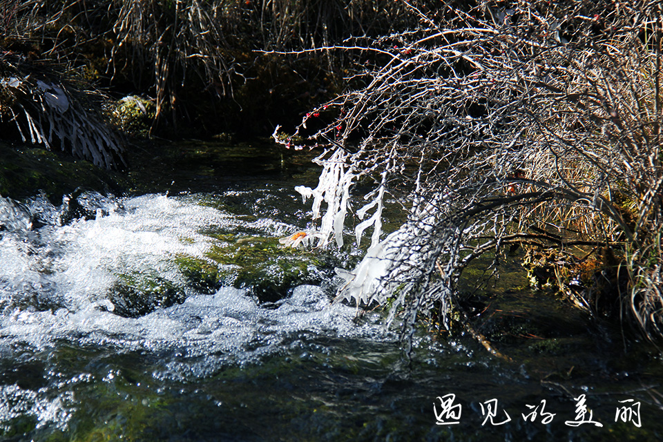 如果一生只去一个古城,一生去一次九寨沟