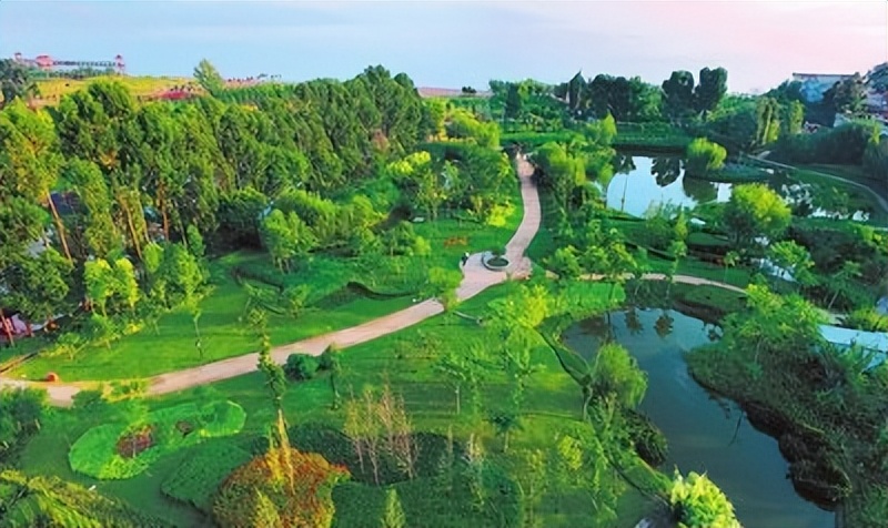 多元共治生态治理模式,多元共治的生态治理模式