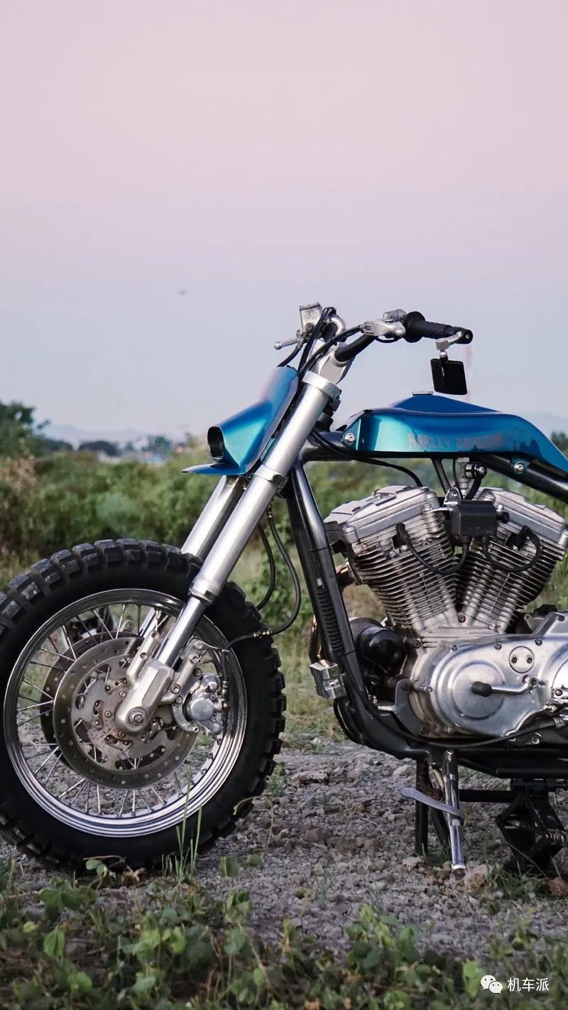 定制|来自望加锡的小怪兽哈雷XL1200Tracker欣赏