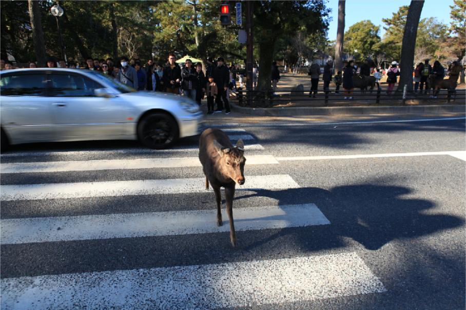 换个视角看阿根廷荷兰点球大战,换个视角看世界日本