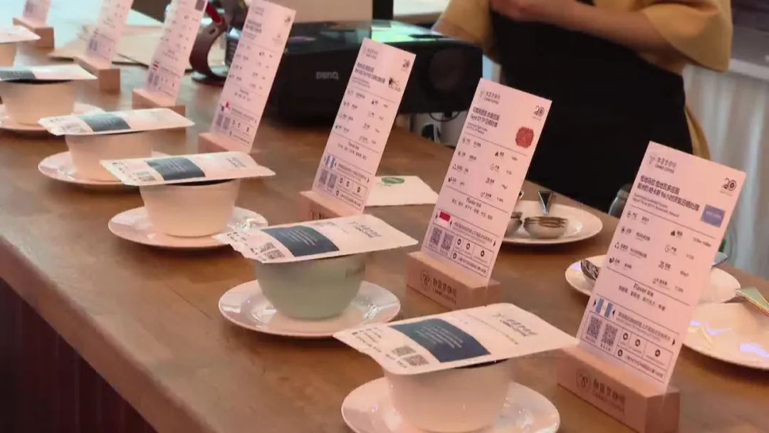 厦门最大咖啡馆在哪里,厦门咖啡市场怎么样