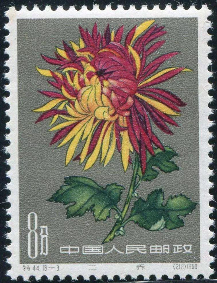 特44菊花邮票,特44菊花邮票价值