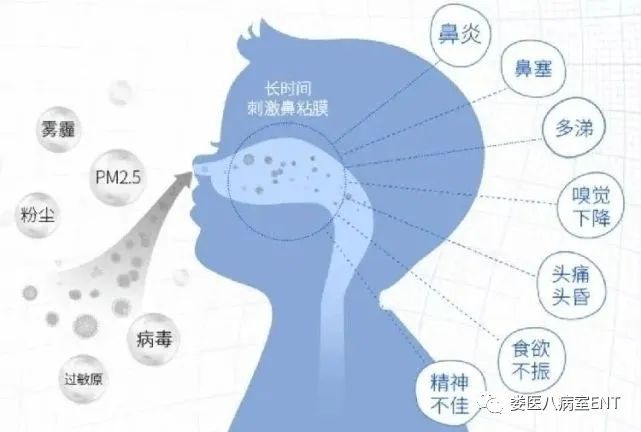 过敏性鼻炎一碗水搞定,对抗过敏性鼻炎的小妙招可试试