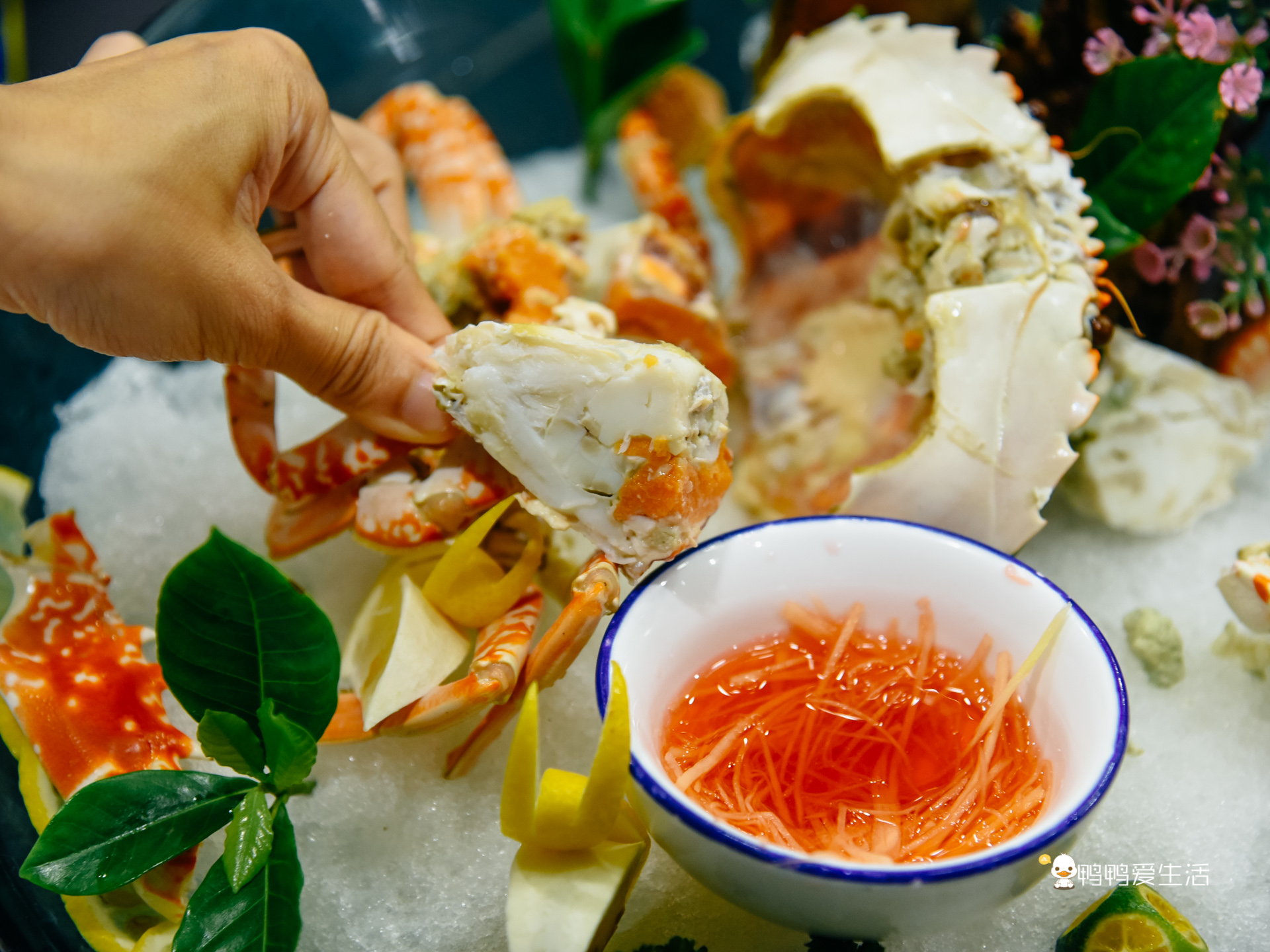 老厦门人都知道的四里建兴，开业近40年，红花蟹还能一蟹六吃