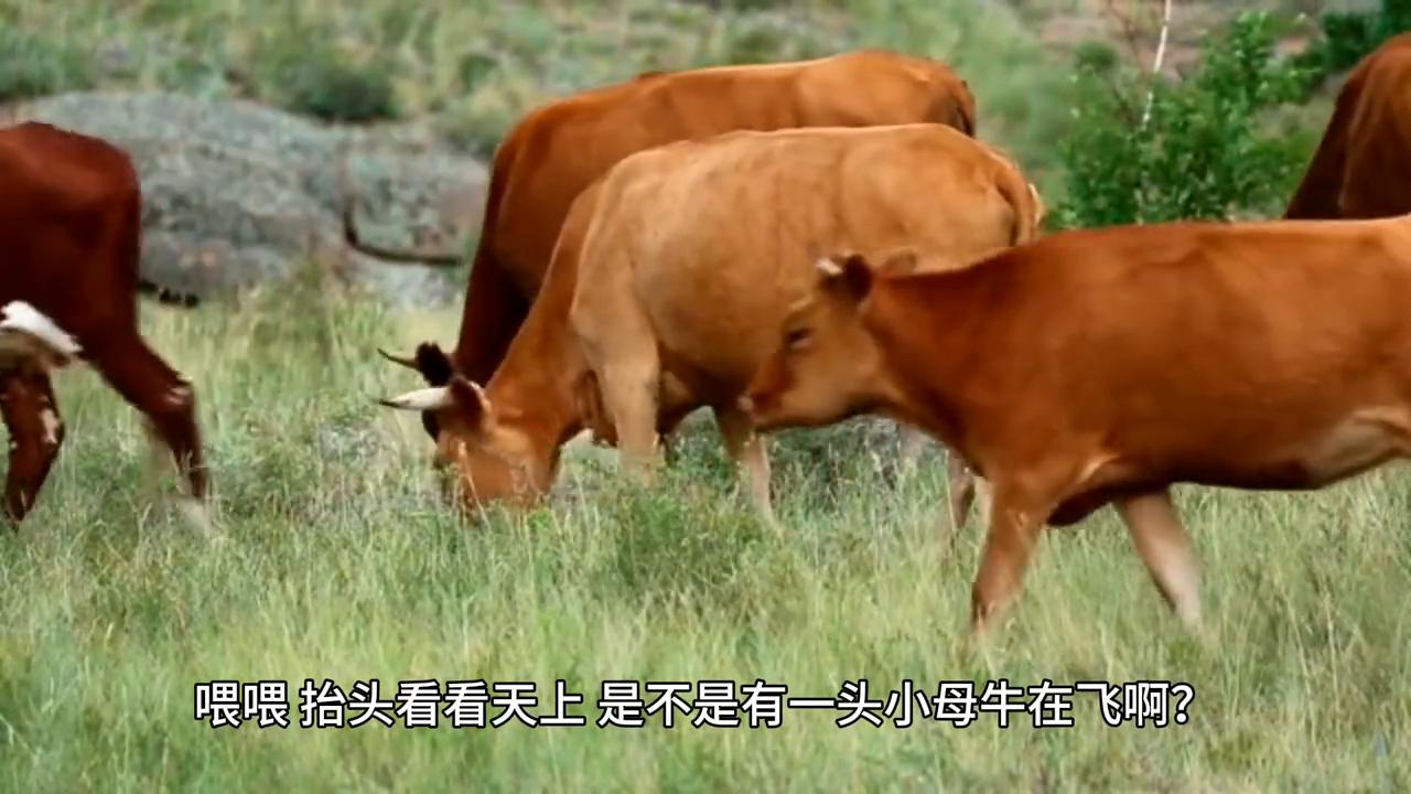 他是江北的龙师，何必和这些孩子解释那么多？